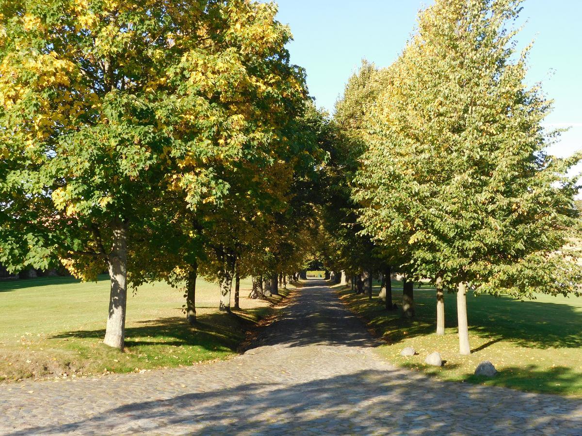 Relais & Chateaux Gutshaus Stolpe Hotel Stolpe an der Peene Kültér fotó